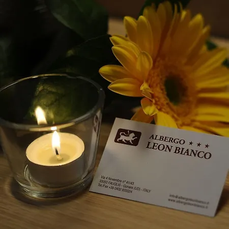 Hotel Leon Bianco 3*